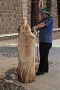 Sculture_Cavino_ 2009 (10)
